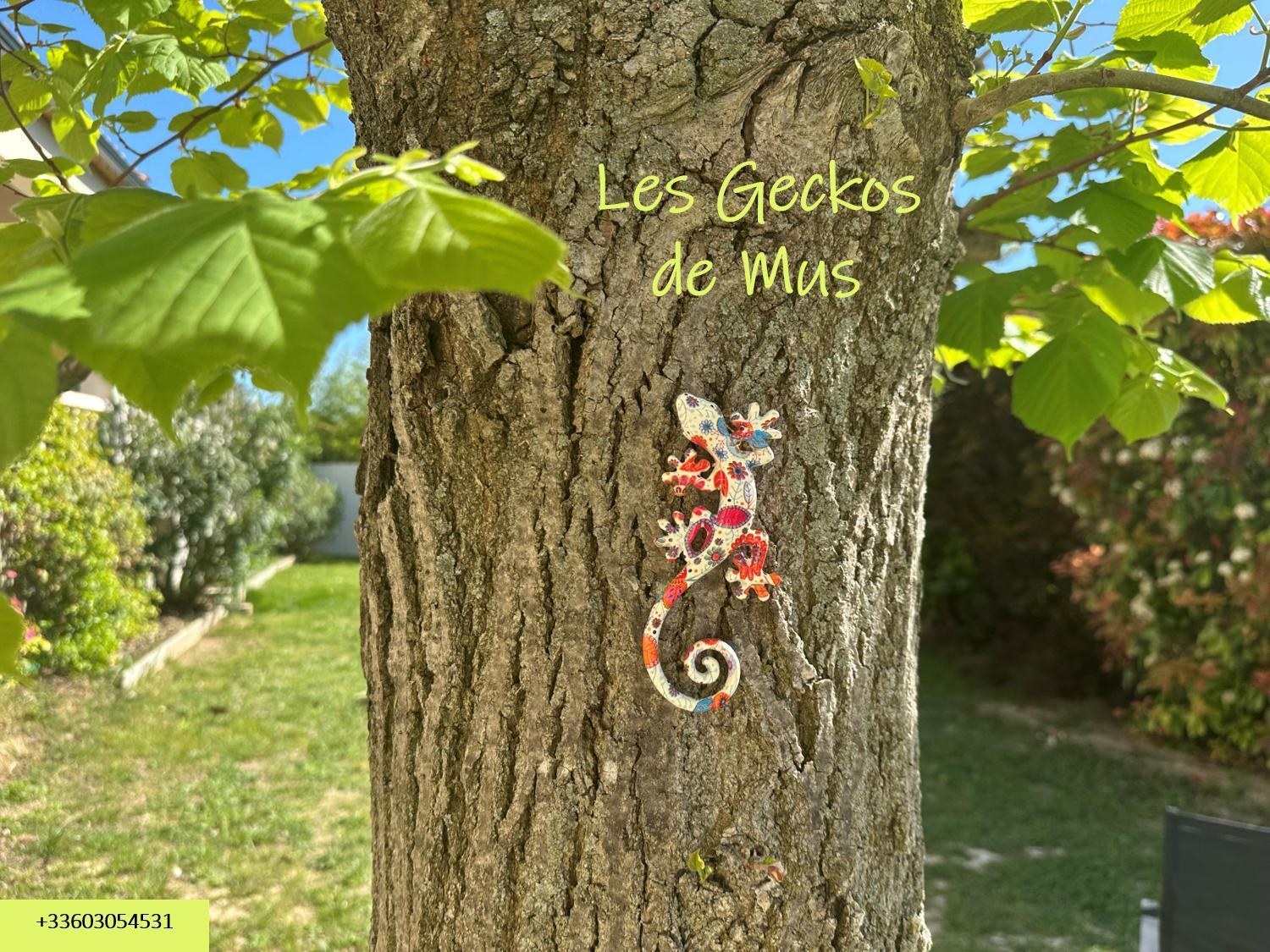 Les Geckos De Mus Apartment Luaran gambar